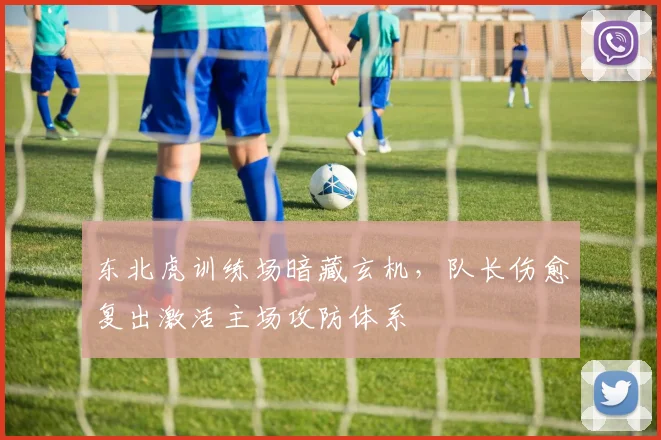 东北虎训练场暗藏玄机，队长伤愈复出激活主场攻防体系