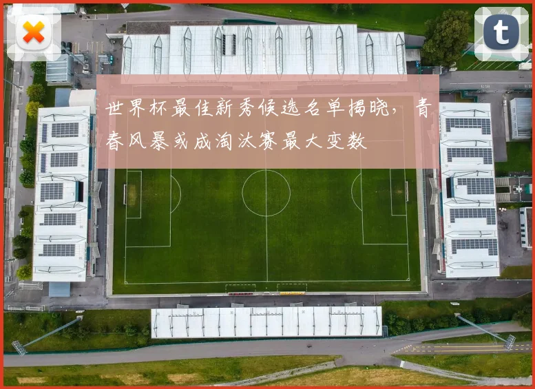 世界杯最佳新秀候选名单揭晓，青春风暴或成淘汰赛最大变数