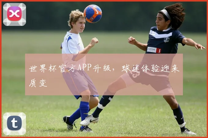 世界杯官方APP升级，球迷体验迎来质变