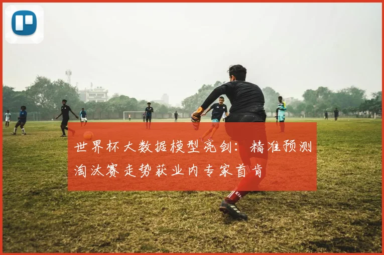 世界杯大数据模型亮剑：精准预测淘汰赛走势获业内专家首肯