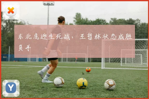 东北虎迎生死战，王哲林状态成胜负手