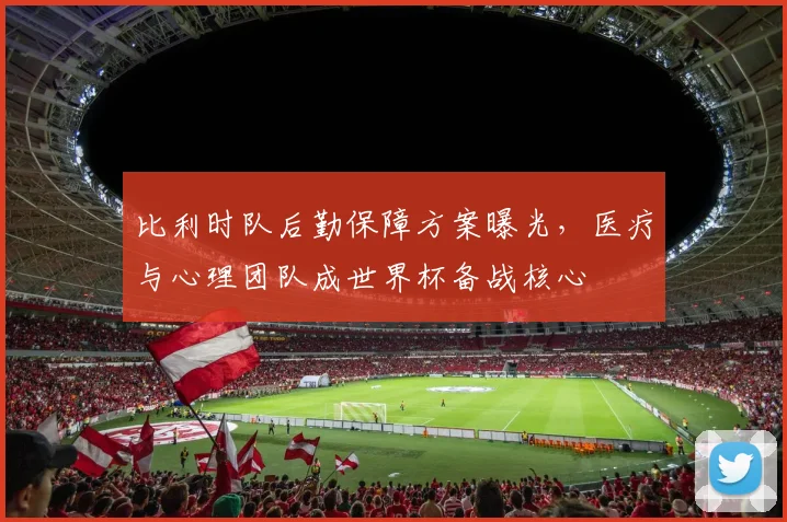 比利时队后勤保障方案曝光，医疗与心理团队成世界杯备战核心