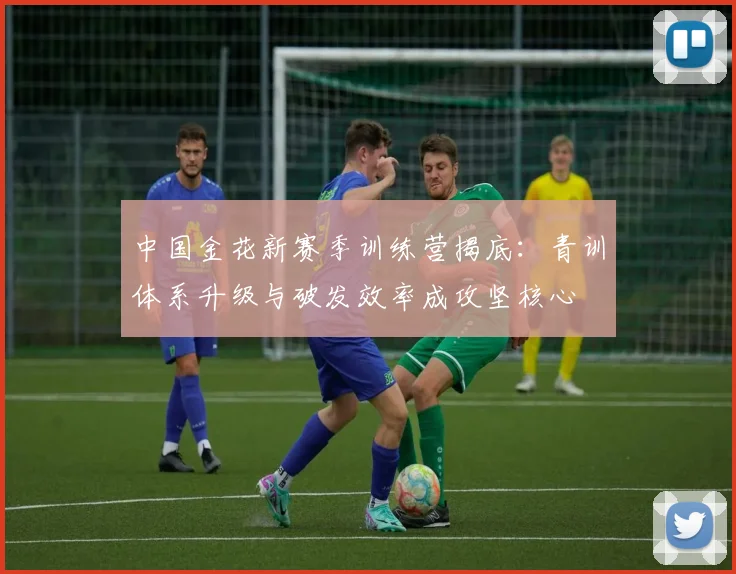 中国金花新赛季训练营揭底：青训体系升级与破发效率成攻坚核心